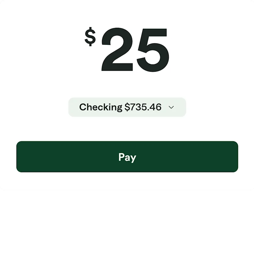 Screen making $25 payment, with a $735.46 checking balance.