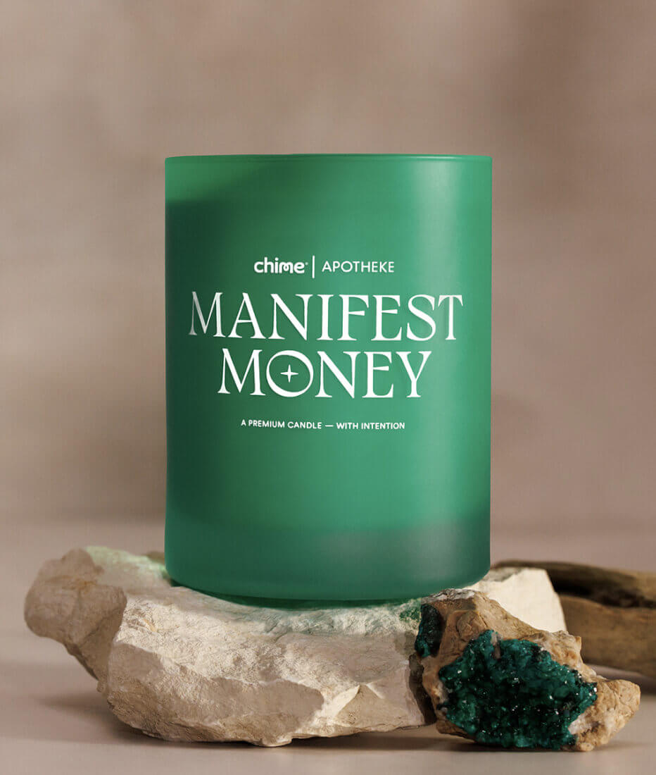 Wealth Manifestation Reviewed: What Can One Learn From Other's Mistakes